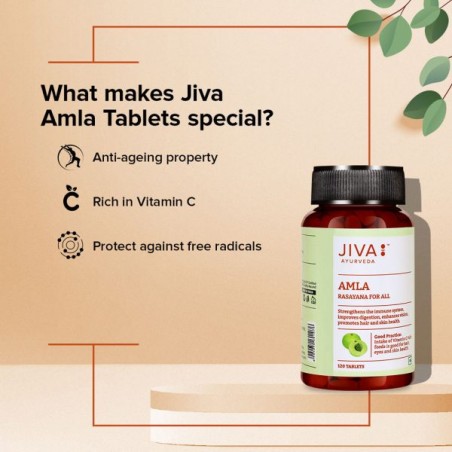 Indiškasis lapainis Amla, Jiva Ayurveda, 120 tablečių