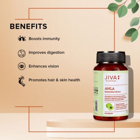 Indiškasis lapainis Amla, Jiva Ayurveda, 120 tablečių