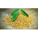 Vaistinė ožragė Fenugreek, ekologiška, Planet Ayurveda, 60 kapsulių