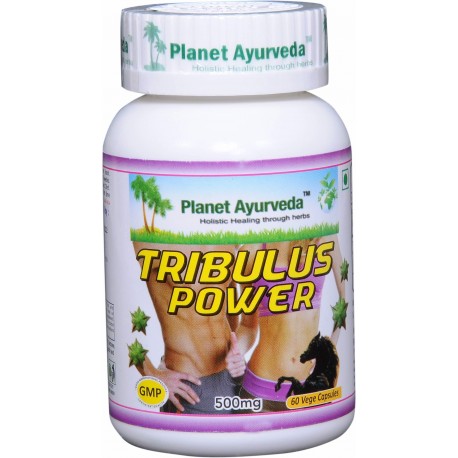 Maisto papildas "TRIBULUS POWER", Planet Ayurveda, 60 kapsulių Maisto papildas "TRIBULUS POWER", Planet Ayurveda, 60 kapsulių