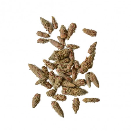 Pine bud tea, 50g