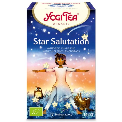 Star Salutation Spiced Tea, Yogi Tea, 17 packets
