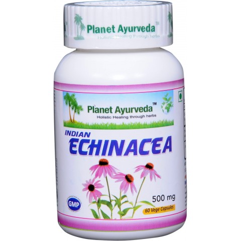 Maisto papildas Skėstašakis kamras Indian Echinacea, Planet Ayurveda, 60 kapsulių