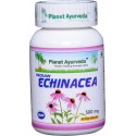 Maisto papildas Skėstašakis kamras Indian Echinacea, Planet Ayurveda, 60 kapsulių