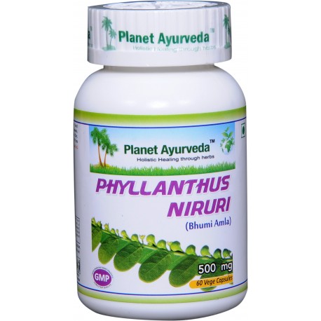 Kreivasis lapainis Phyllanthus Niruri, ekologiškas, Planet Ayurveda, 60 kapsulių