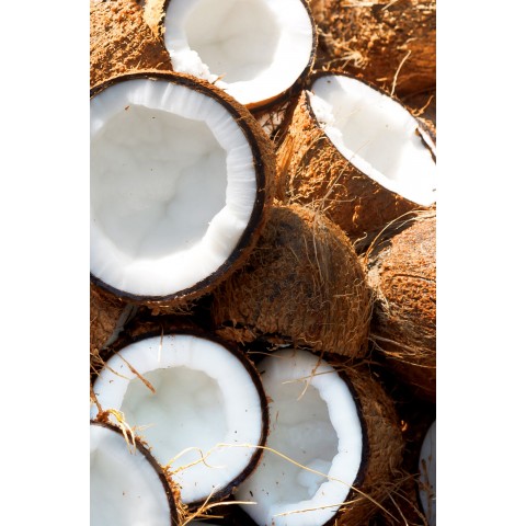 Ajurvedinio eliksyro plaukų kondicionierius Coconut Shikakai, Khadi Naturprodukte, 200ml
