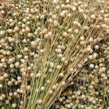 Ekologiškas linų sėmenų aliejus, Alteya Organic, 50ml